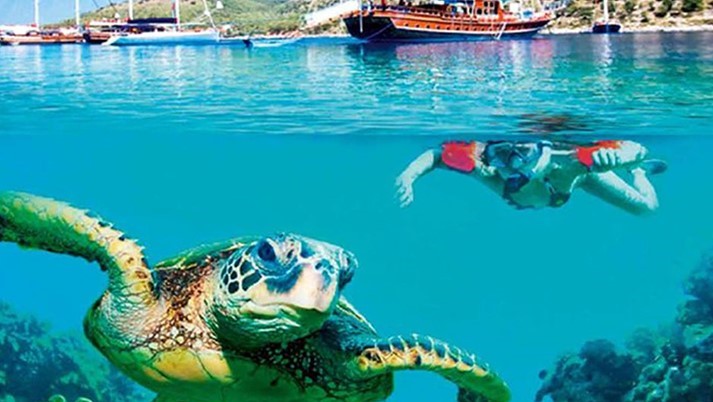 Best Diving areas in Turkey